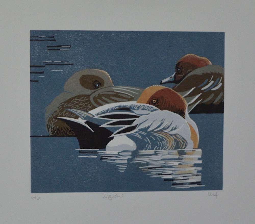 Wigeons