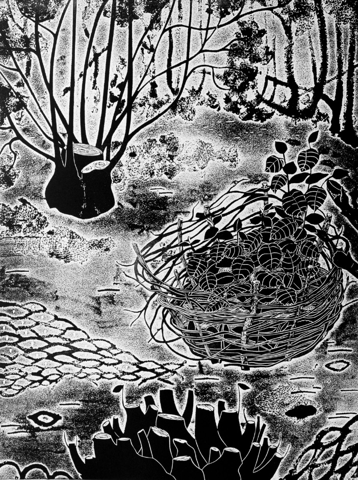 Aberystwyth Printmakers